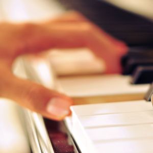 每日大赛在线观看网页版
