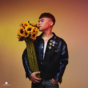 每日大赛在线观看网页版
