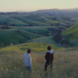 每日大赛在线观看网页版
