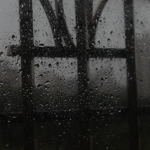 每日大赛在线观看网页版
